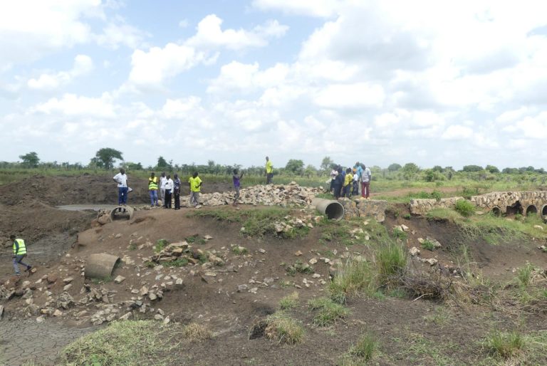 IMG-20250602-WA0046(1)