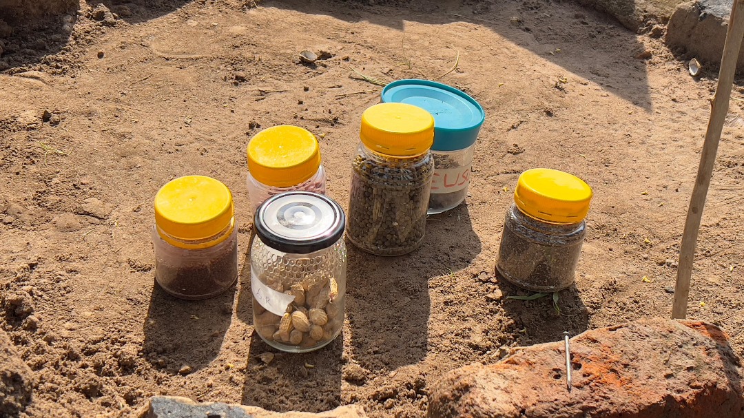 "Keep Your Land, Keep Your Seed” Campaign Targets Land, Seed Rights in Teso, Lango, Acholi 4 IMG 20250724 WA0026