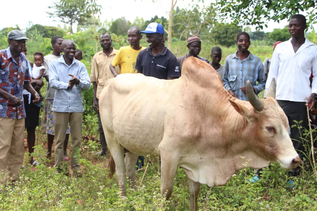 Kanyum County MP Opolot to Establish Multi-Sectoral Technical School, Rewards Top NRM Polling Station 2 IMG 20250927 WA0038